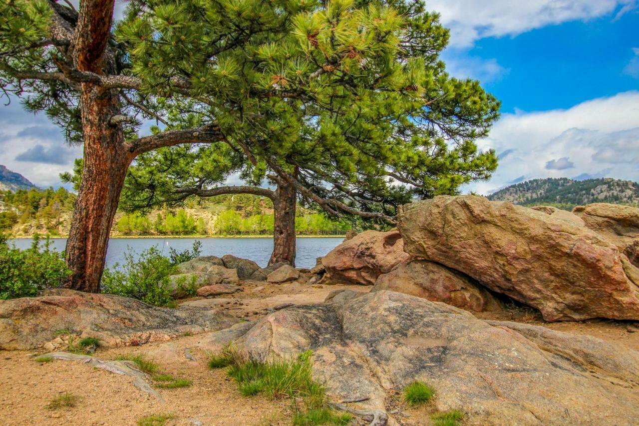 Quiet In The Pines - Permit #3120 Apartment Естес Парк Екстериор снимка
